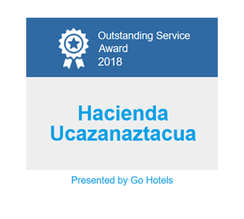 Outstanding Service Award 2018 - Gohotels.com